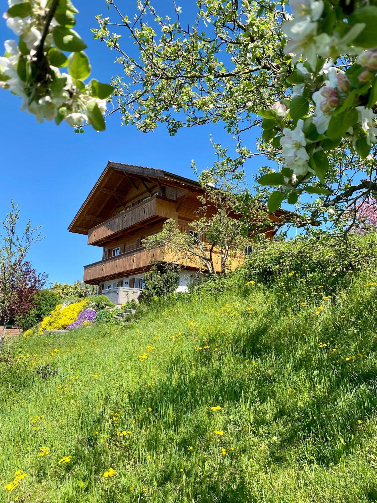 Chalet Egglen "Typical Swiss House, Best Views, Private Jacuzzi" ジーグリスヴィル エクステリア 写真