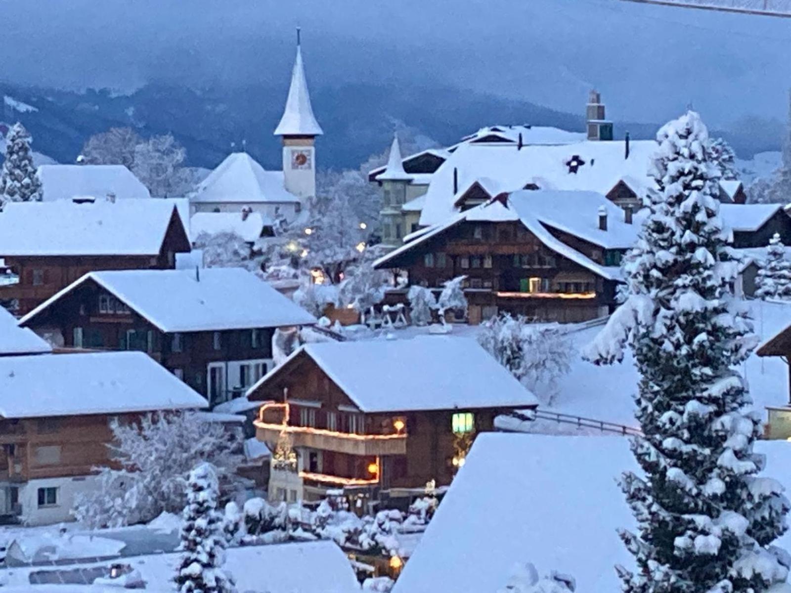 Chalet Egglen "Typical Swiss House, Best Views, Private Jacuzzi" ジーグリスヴィル エクステリア 写真