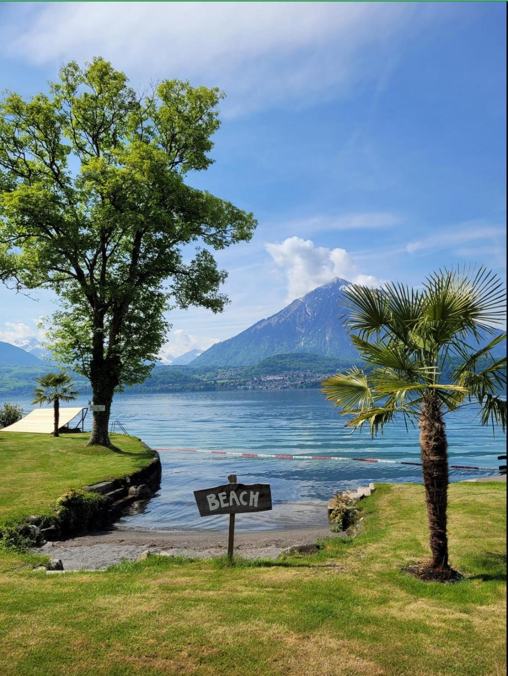 Chalet Egglen "Typical Swiss House, Best Views, Private Jacuzzi" ジーグリスヴィル エクステリア 写真
