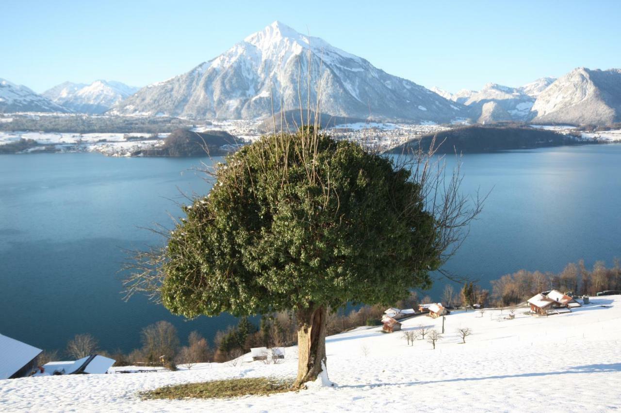 Chalet Egglen "Typical Swiss House, Best Views, Private Jacuzzi" ジーグリスヴィル エクステリア 写真