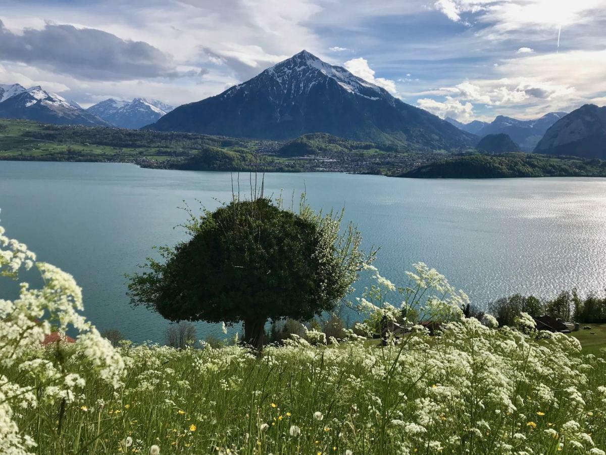 Chalet Egglen "Typical Swiss House, Best Views, Private Jacuzzi" ジーグリスヴィル エクステリア 写真